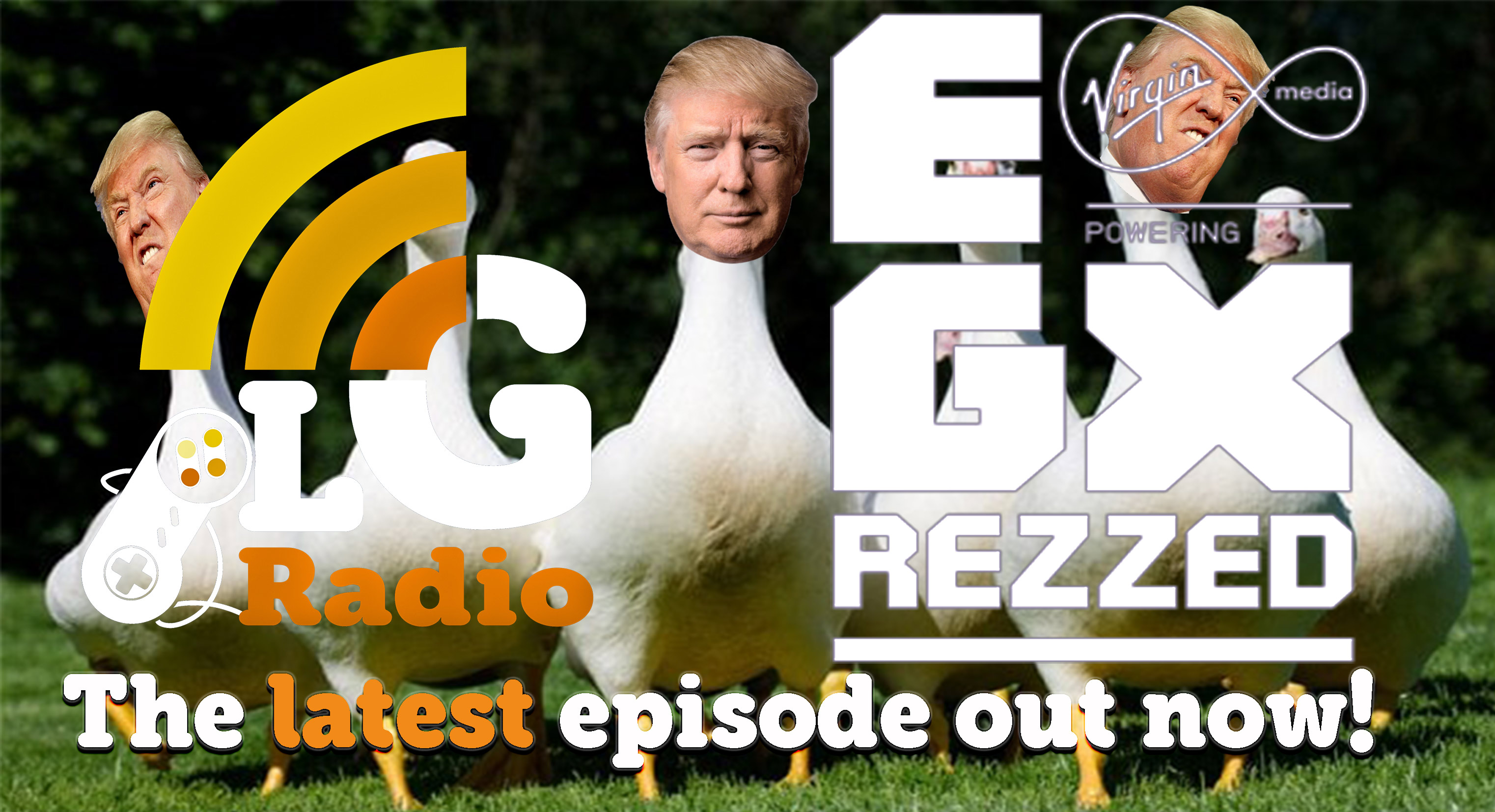 GEESE