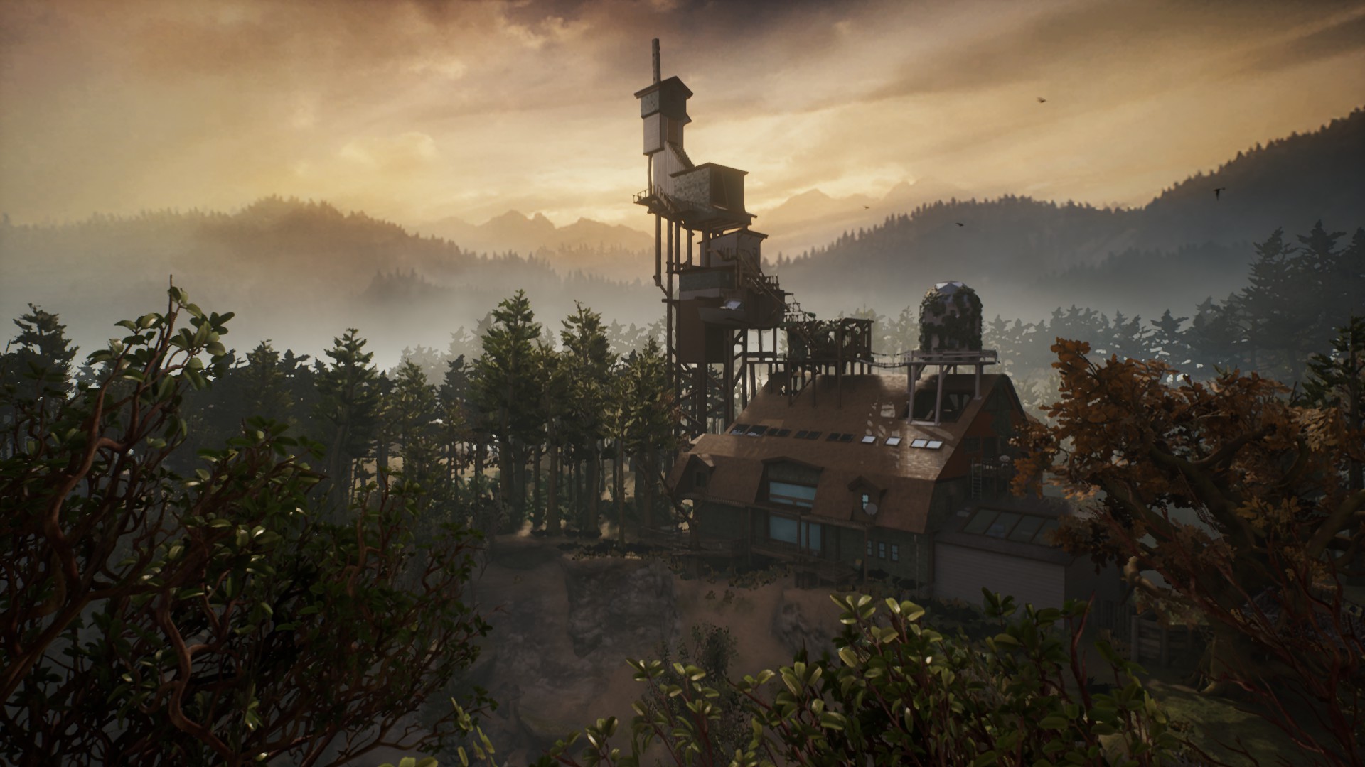 Edith Finch